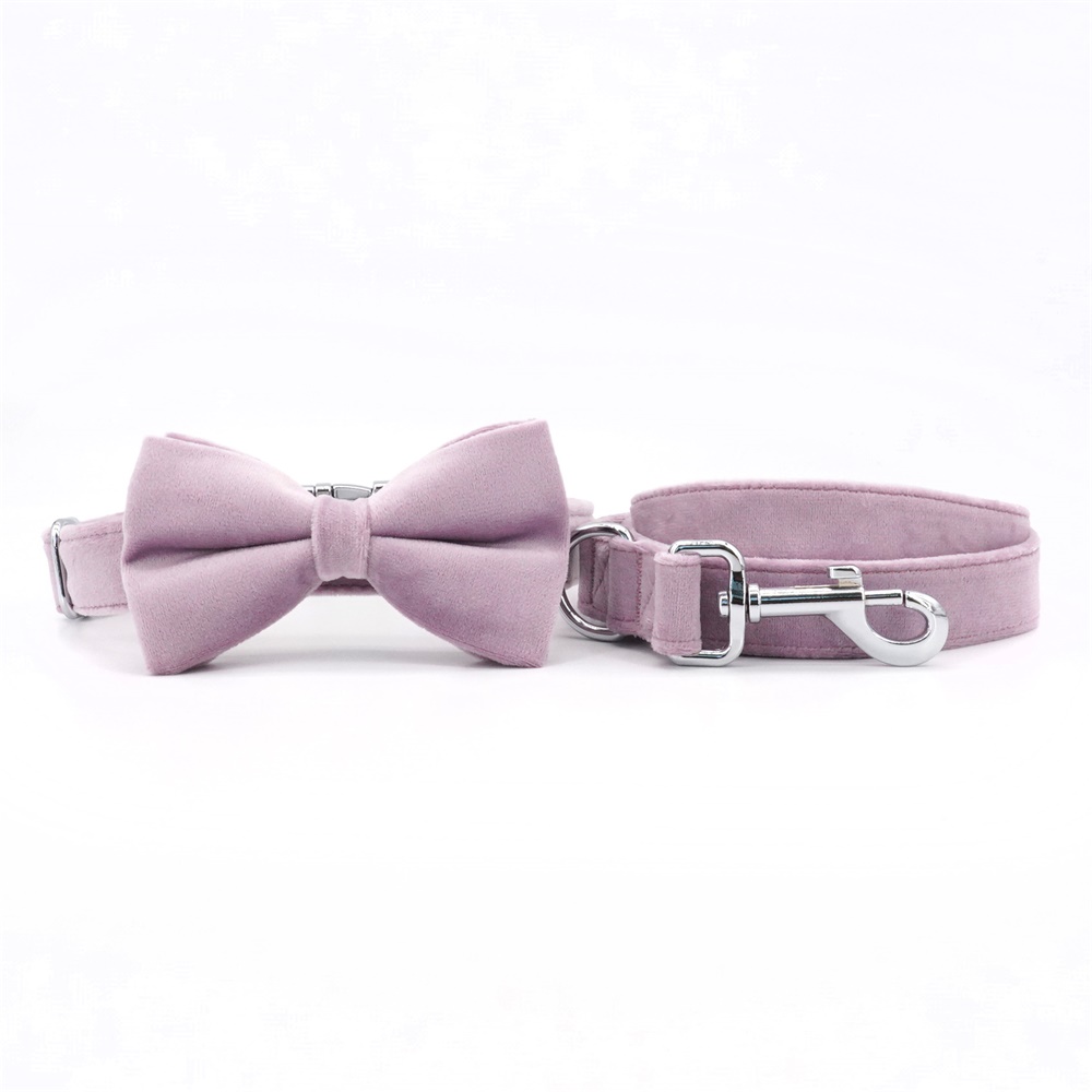 Velet  Purple Dog Bowtie Collar Leash