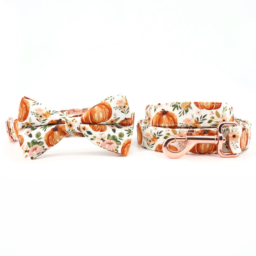 Autumn Pumpkin Dog Bowtie Collar Leash