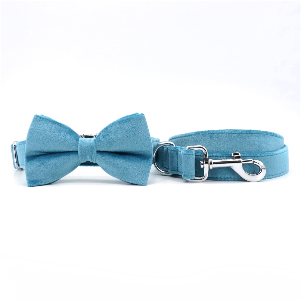 Velet Blue Dog Bowtie Collar Leash
