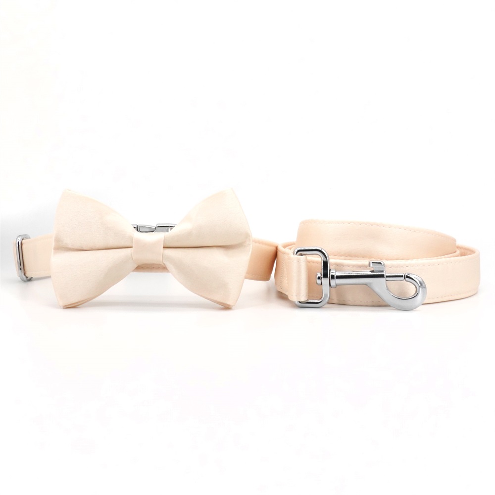 Solid Champagne Dog Bowtie Collar Leash