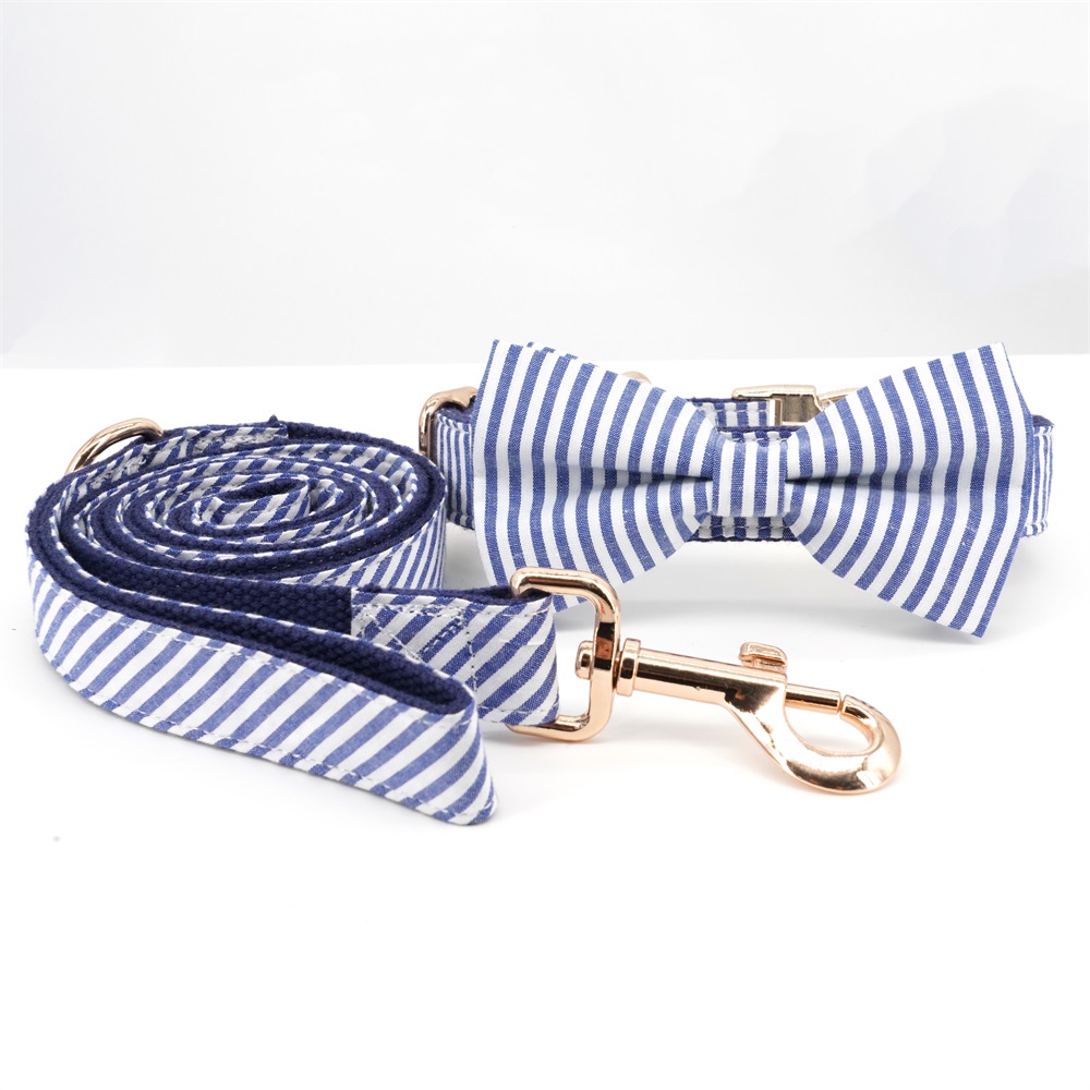 Blue Strip Dog Bowtie Collar Leash