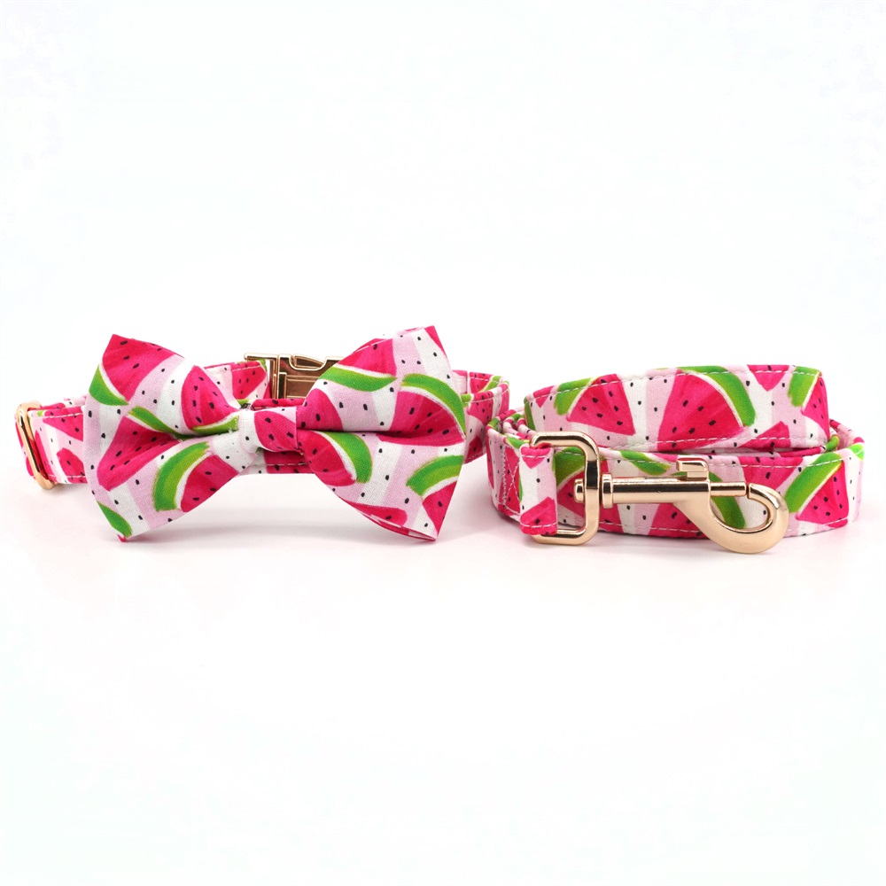 Watermelon Dog Bowtie Collar Leash