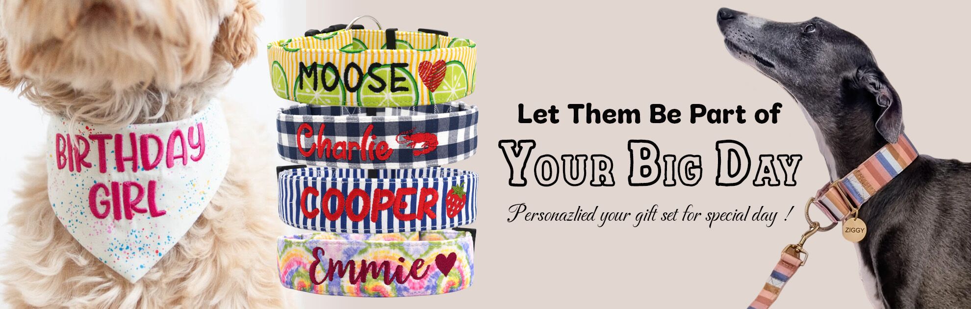 custom dog collar leash