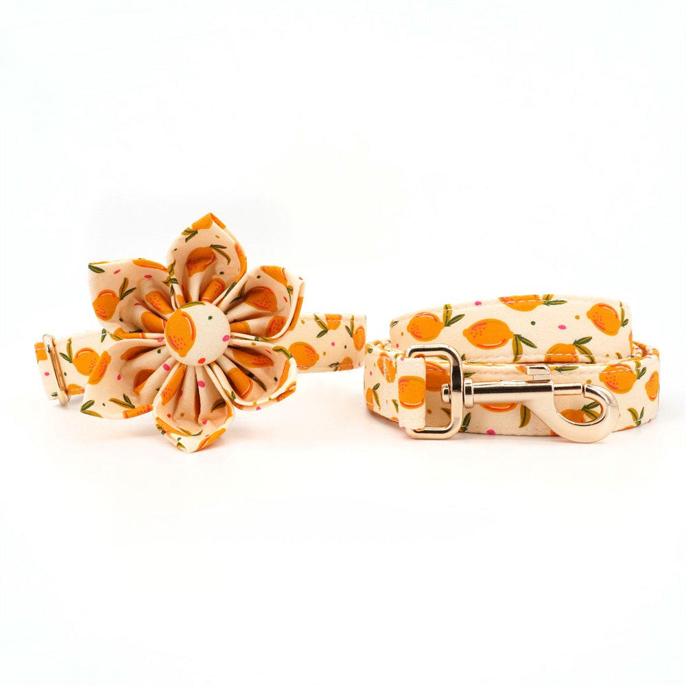 Lemon Dog Collar Flower  Leash Set For Pet Lover Gift