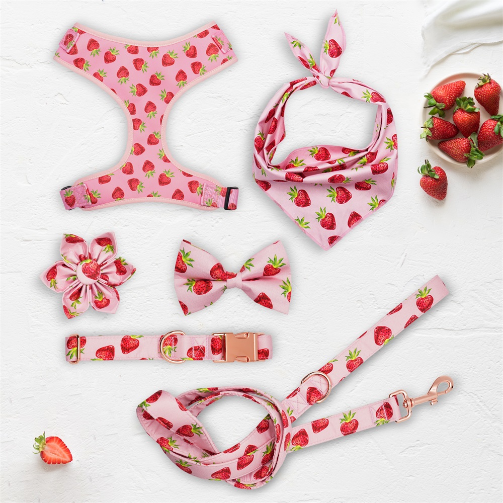 Strawberry Dog Collar Flower  Leash Set For Pet Lover Gift