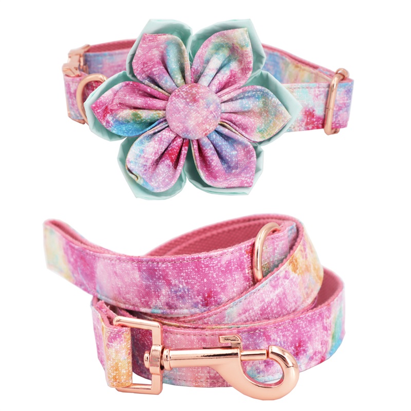 Purple Magic girl dog collar flower and leash set for big and small dog 