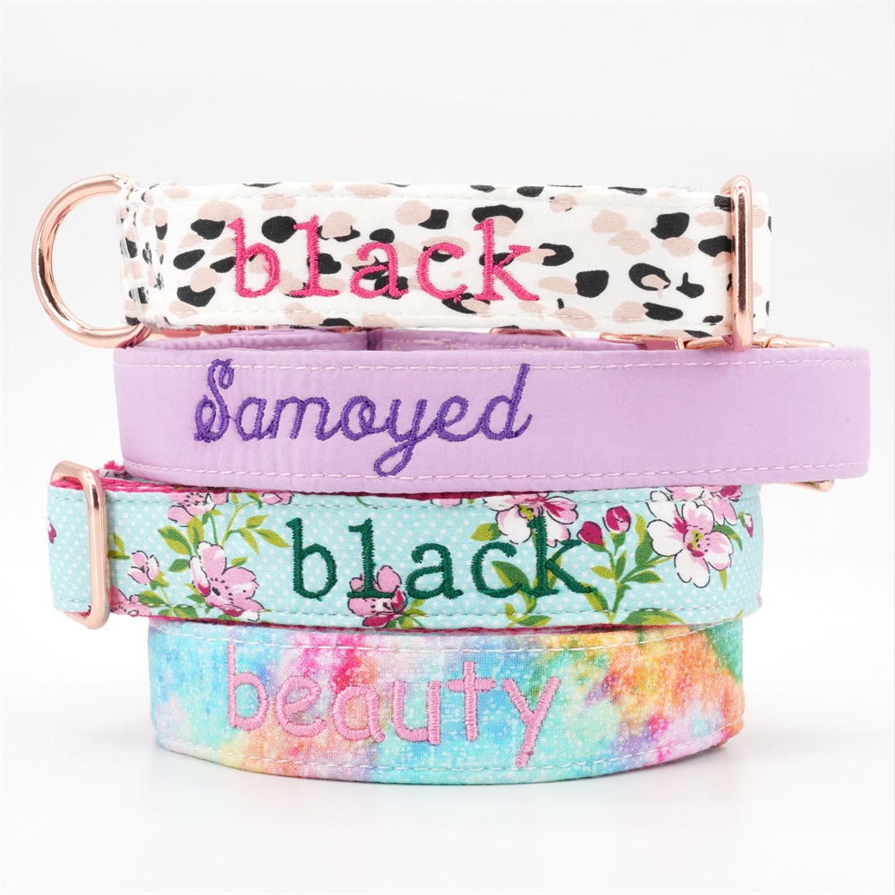 Dog Collar Bowtie Leash