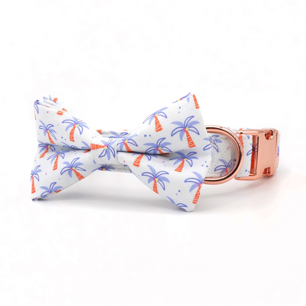 Summer Coconut Dog Collar Bowtie with Matching Leash