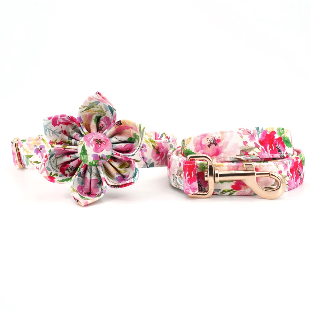 Checked Girly Dog Collar Flower with Matching Leash 