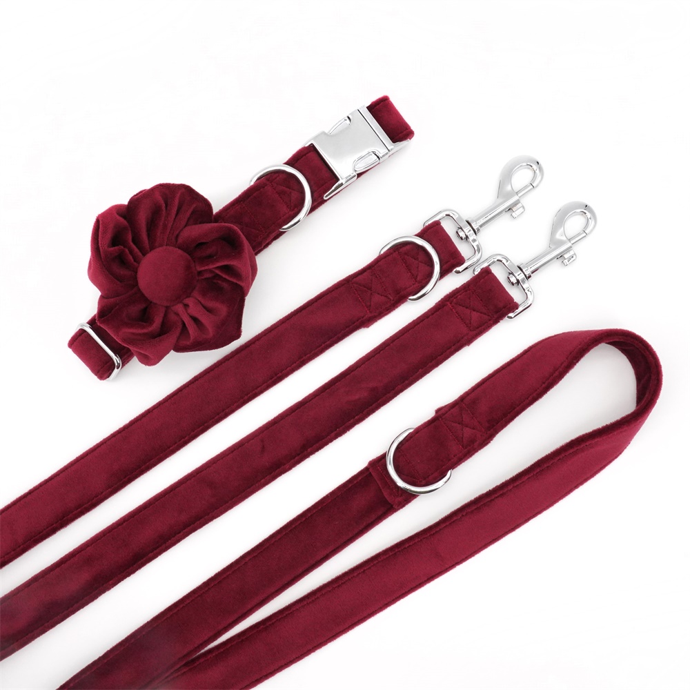 Velvet Dog Collar Flower with Matching Leash 