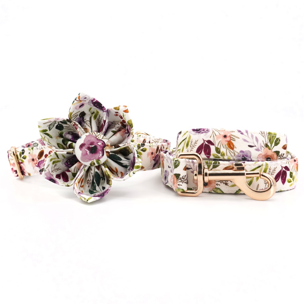 Personalized Floral Girly Dog Collar Flower with Matching Leash 