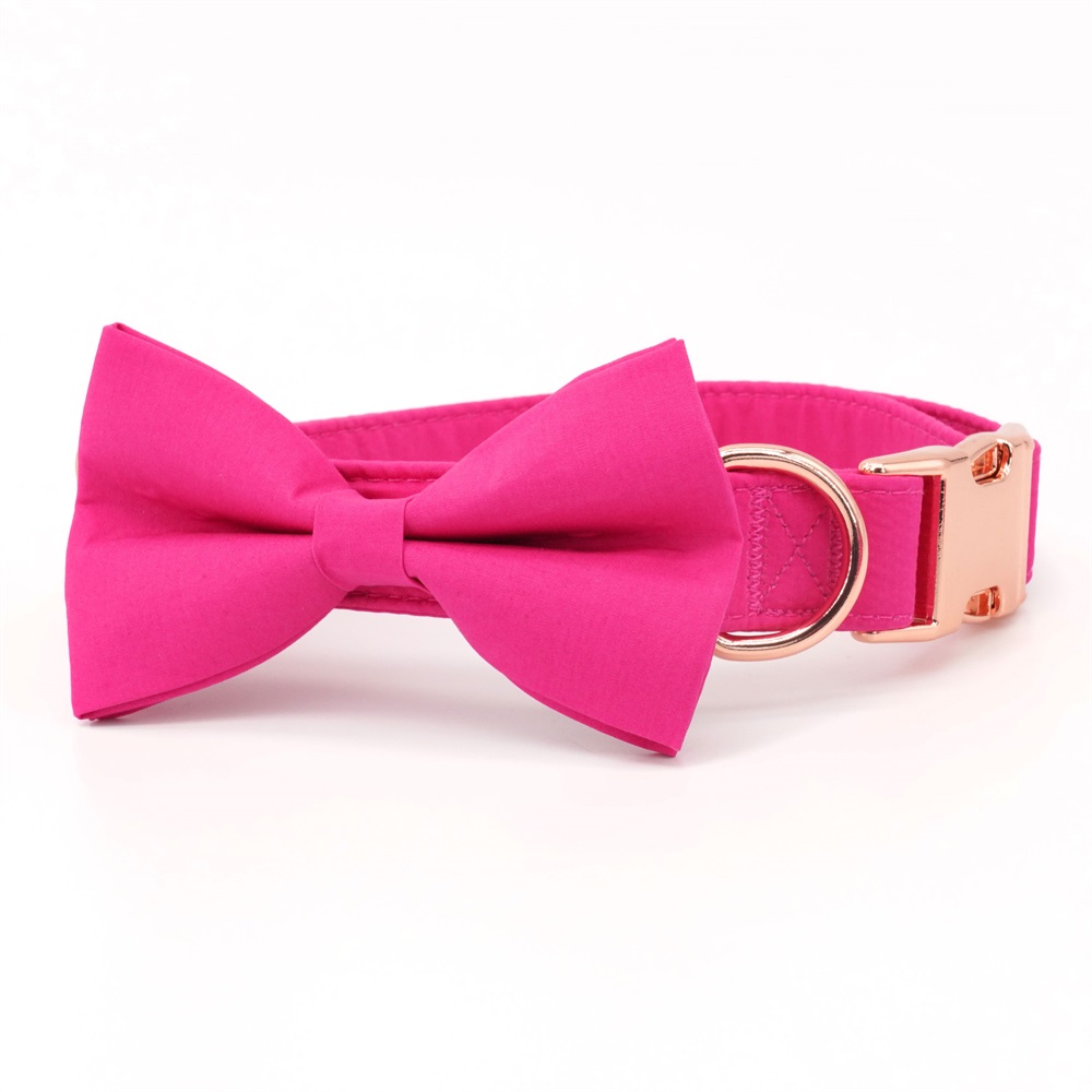 Hot Pink Dog Collar Bowtie with Matching Leash