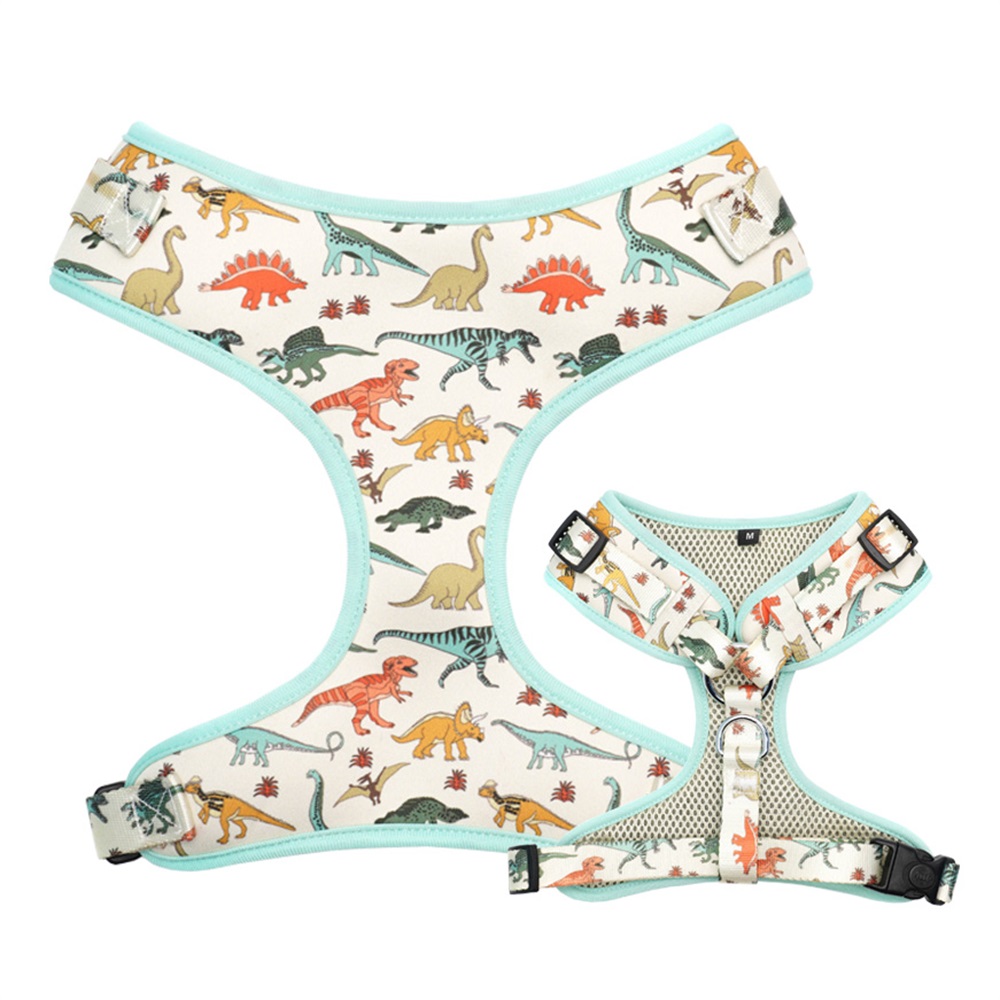 Dino Personalized Pet Collar Leash & Harness Set – Custom Laser Engraved Metal Buckle