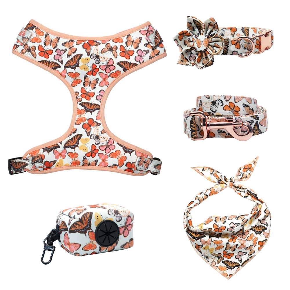 Butterfly Personalized Pet Collar Leash & Harness Set – Custom Laser Engraved Metal Buckle