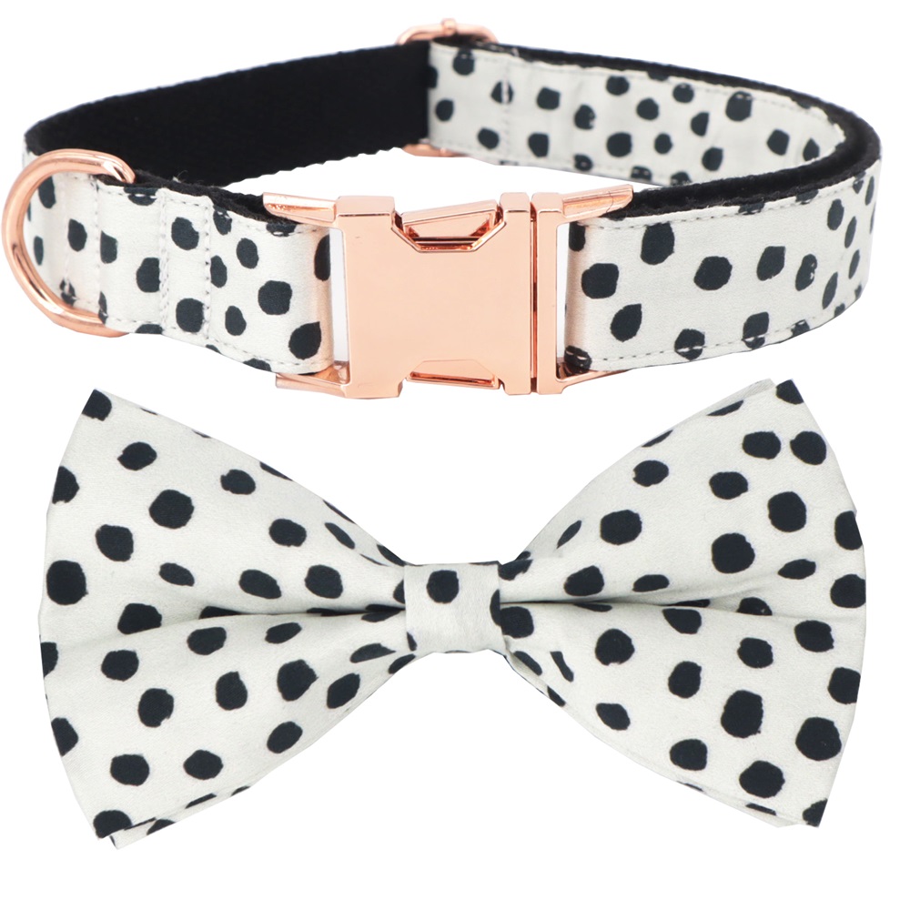 Dots Dog Collar Bowtie with Matching Leash