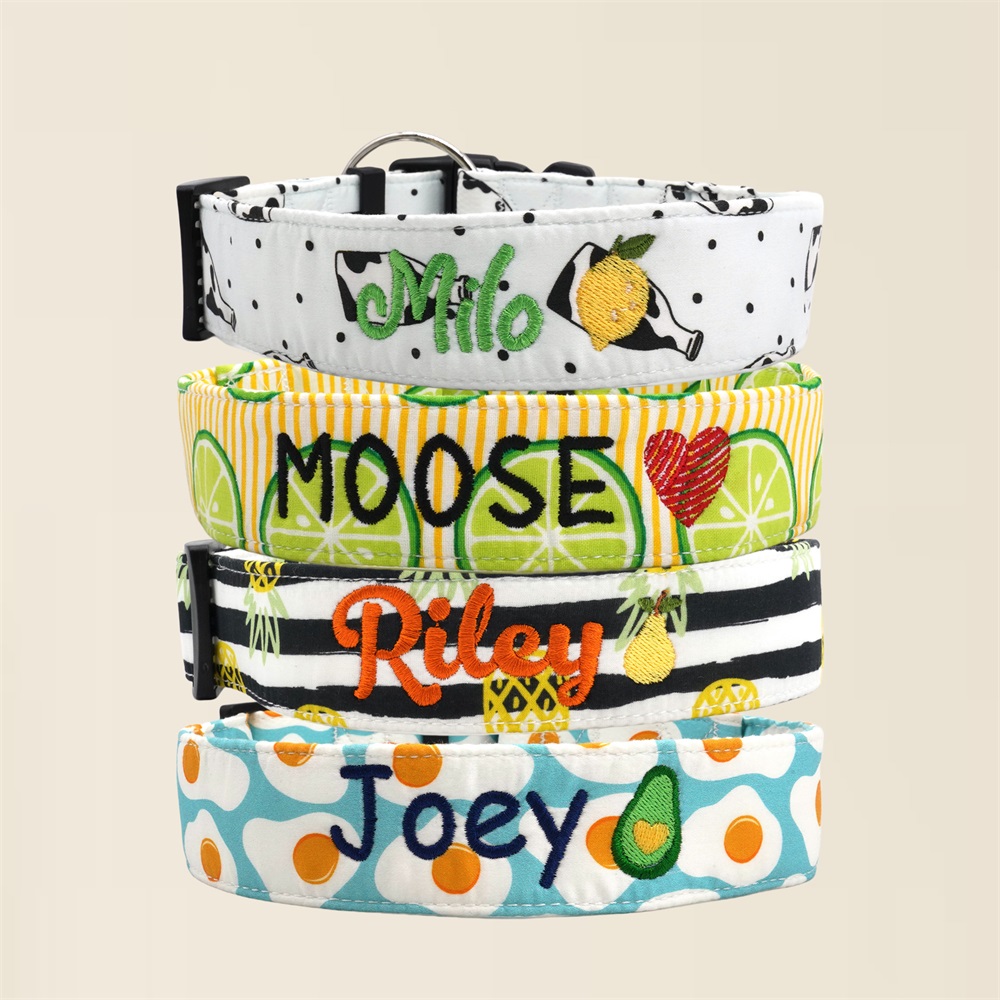 Custom Embroidery Dog Collar Matching Leash