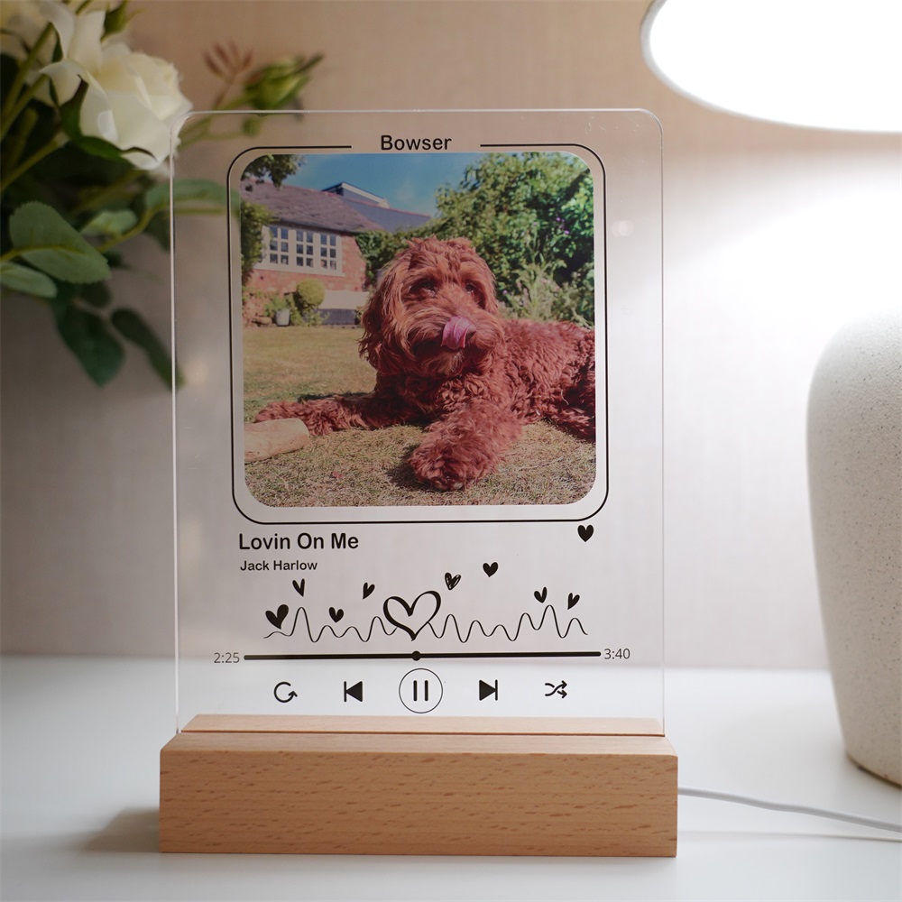 Personalized Pet Picture Acrylic Wooden Night Light Photo Light Frame 