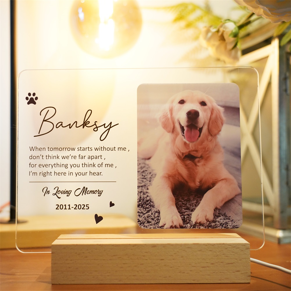 Personalized Pet Picture Acrylic Wooden Night Light Photo Light Frame 