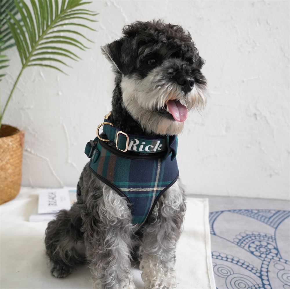 Custom Pet Collar, Personalized DIY Options to Make Love More Special!