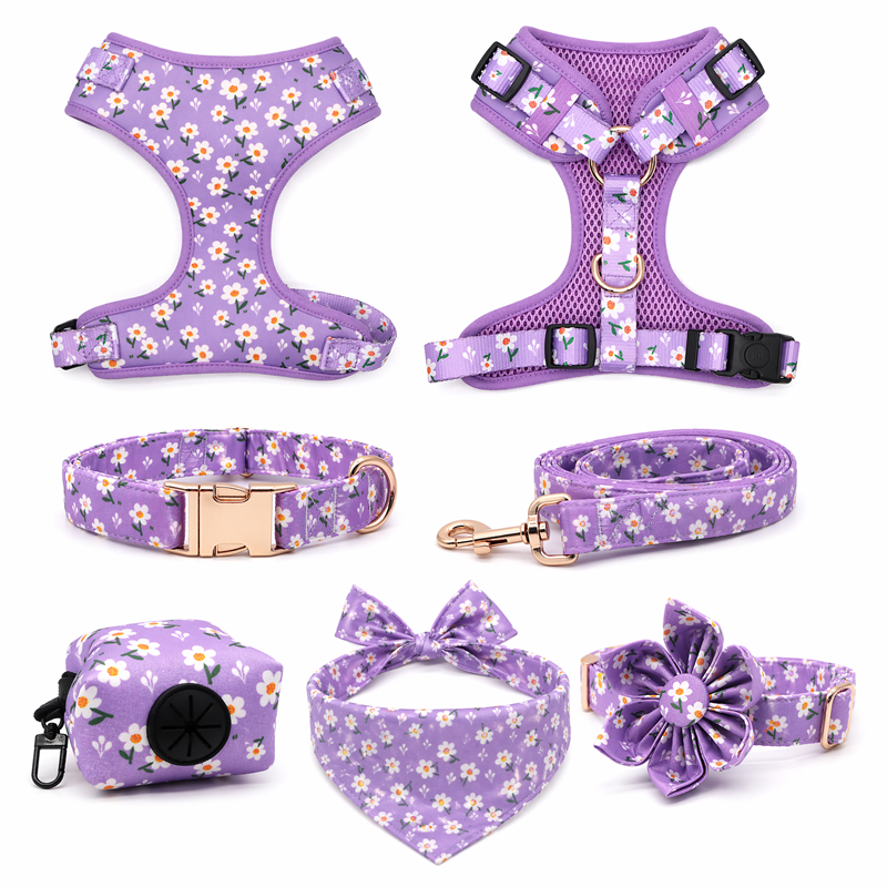 Daisy Dog Harness, Collar, Leash & Accessories Bundle, Adjustable Soft No-Pull for Small Medium Dogs